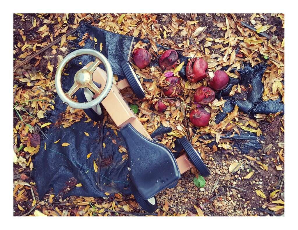 הבימבה של יואל נטועה תחת עץ הרימון, ופירותיו המרקיבים נושקים לגלגל. מתוך התערוכה "על בלי־מה" של שרה מוכתר