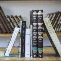 "זה לימוד שמאוד מפתח את החשיבה". | אבישג שאר יישוב