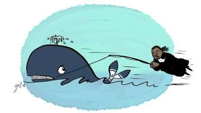 איור: שי צ'רקה