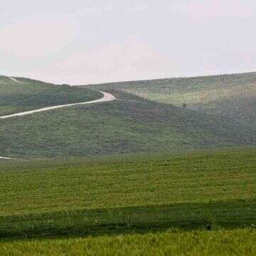 רמת מנשה | ד"ר עידן שפירא, "המארג", מוזיאון הטבע ע"ש שטיינהרדט באונ' תל אביב