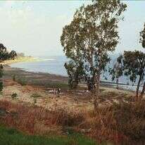 סוג של פומפיי, הכל נשאר כשהיה. אתר אוהלו 2 בזמן החפירות. | פרופ' דני נדל, אוניברסיטת חיפה