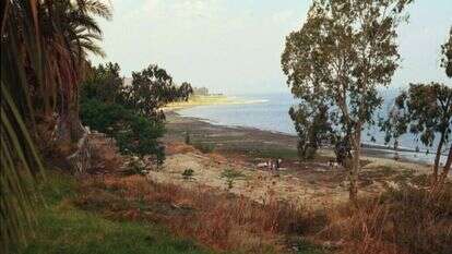 סוג של פומפיי, הכל נשאר כשהיה. אתר אוהלו 2 בזמן החפירות. | פרופ' דני נדל, אוניברסיטת חיפה