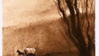 איור: מנחם הלברשטט איור: מנחם הלברשטט