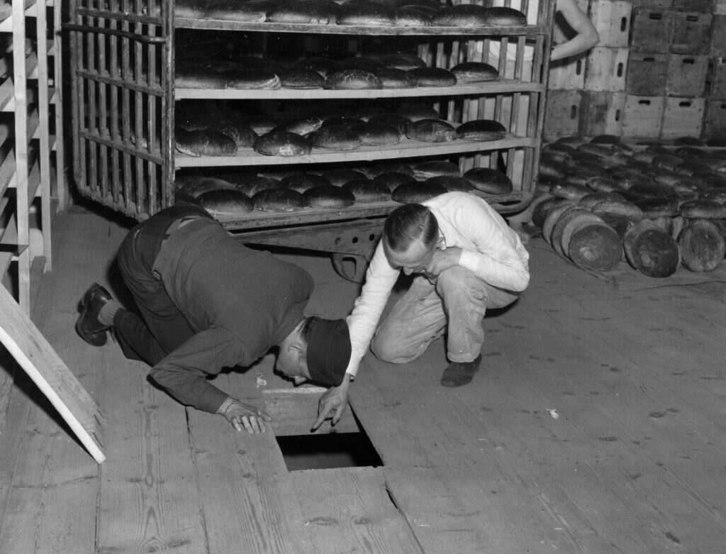 הארסניק היה באיכות מצוינת, אבל לא טופל היטב. מקום המחבוא של הרעל ברצפת המאפייה. | AP