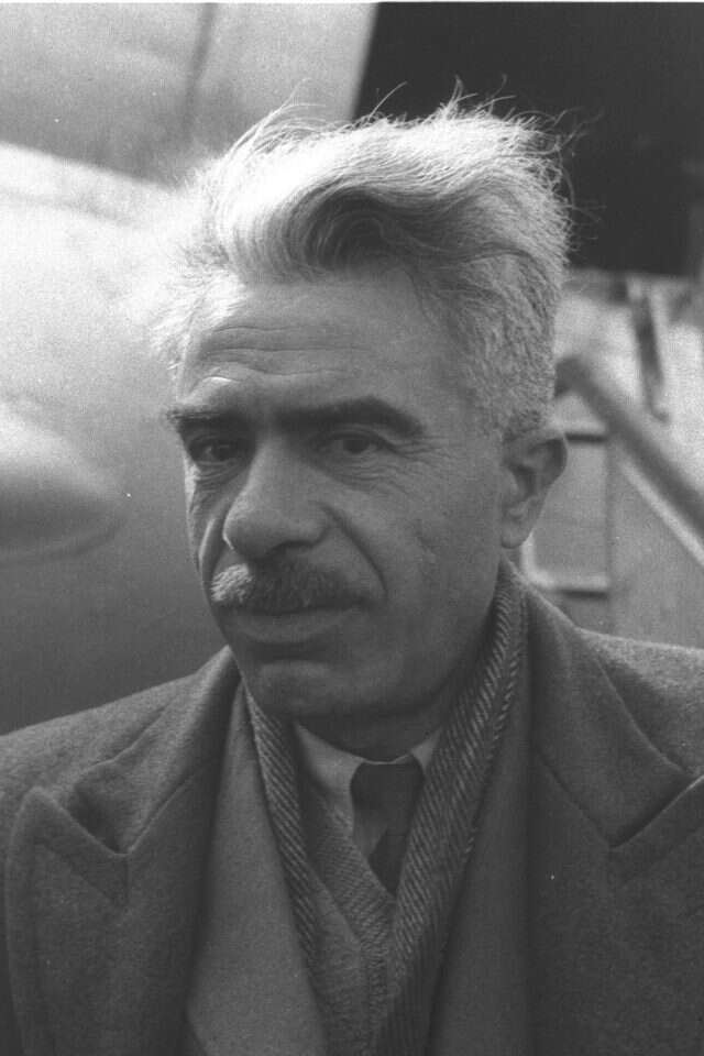 מאיר יערי. | דוד אלדן, לע"מ