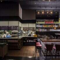 ויוינו. צילומים: אנטולי מיכאלו, יח"צ ויוינו