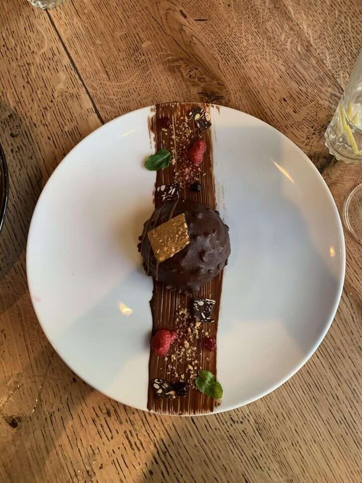 ויוינו. צילומים: אנטולי מיכאלו, יח"צ ויוינו