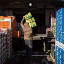 הסיוע הממשלתי אינו פוטר את היחיד. איסוף סלי מזון לנזקקים. | הדס פרוש, פלאש 90