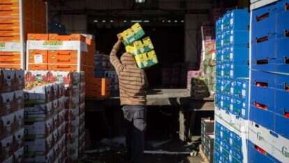 הסיוע הממשלתי אינו פוטר את היחיד. איסוף סלי מזון לנזקקים. | הדס פרוש, פלאש 90