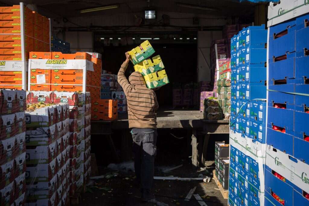 הסיוע הממשלתי אינו פוטר את היחיד. איסוף סלי מזון לנזקקים. | הדס פרוש, פלאש 90