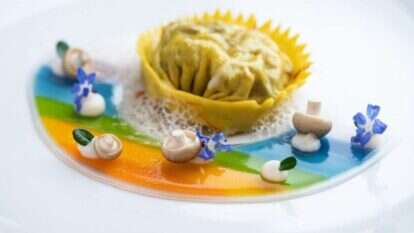 קשת בענן, אנג'ליקה. | איתי מוניקדם