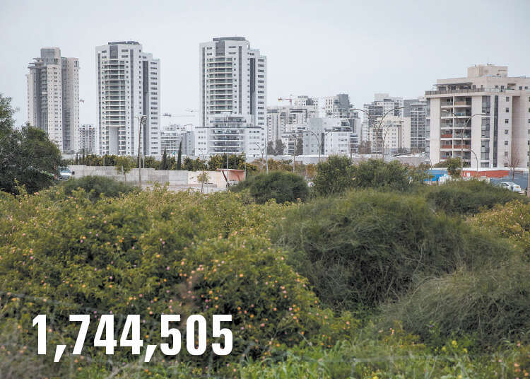 הדס פרוש, פלאש 90