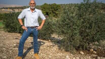 דוד אלחייני, השבוע בבקעת הירדן. | הלל מאיר