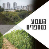 צילומים: הדס פרוש - פלאש 90, יוסי אלוני