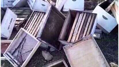 הכוורות באזור לטרון לאחר ההרס. | מסך מתוך סרטון של 'השומר החדש'