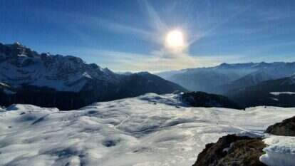 יאיר קראוס יאיר קראוס