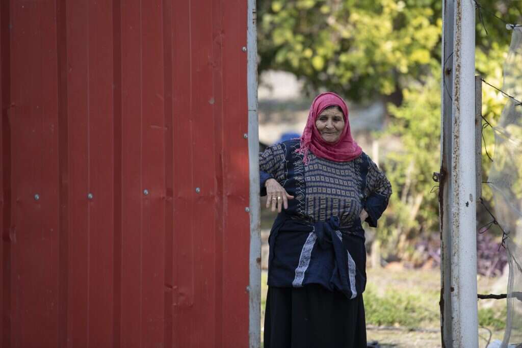 שריה דיאמנט שריה דיאמנט