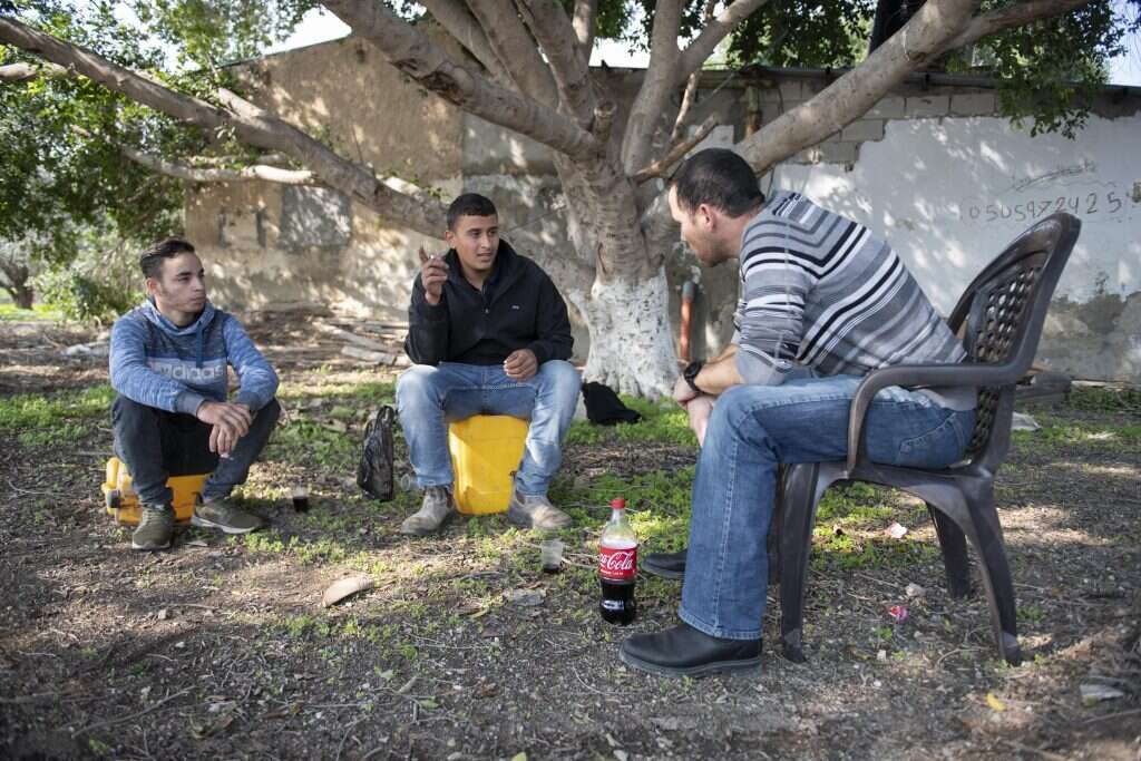 סאיח וערפאת. | שריה דיאמנט סאיח וערפאת. | שריה דיאמנט