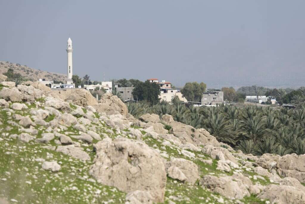 שריה דיאמנט שריה דיאמנט