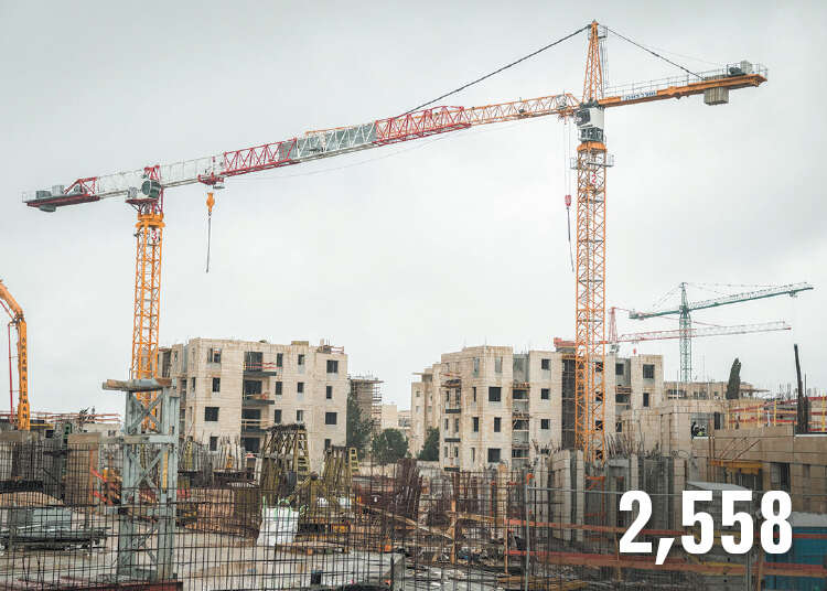 הדס פרוש, פלאש 90