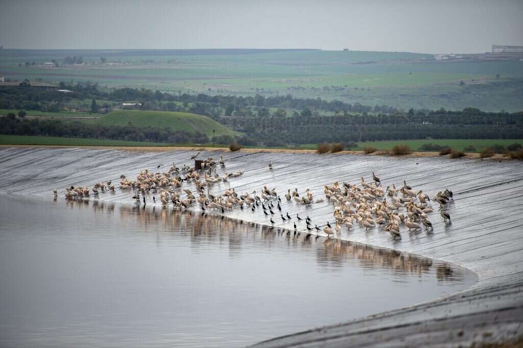לקראת שקיעה באים לחפש מנוחה לנפשם. שקנאים במאגר קלח. | גיל אליהו, ג'יני