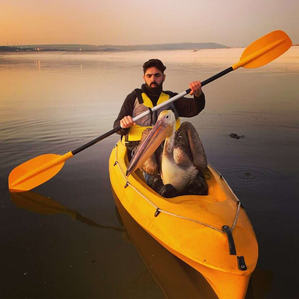 אופיר בן חמו. | בר פנחס