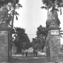 "אלמלא הוקם מקווה ישראל - ספק אם הייתה קמה מדינת ישראל". הכניסה למקווה ישראל, 1970. | משה מילנר, לע"מ