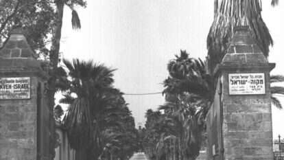 "אלמלא הוקם מקווה ישראל - ספק אם הייתה קמה מדינת ישראל". הכניסה למקווה ישראל, 1970. | משה מילנר, לע"מ