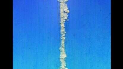 איור: מנחם הלברשטט