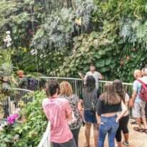 סיור לכל המשפחה בחממה הטרופית. | תום עמית