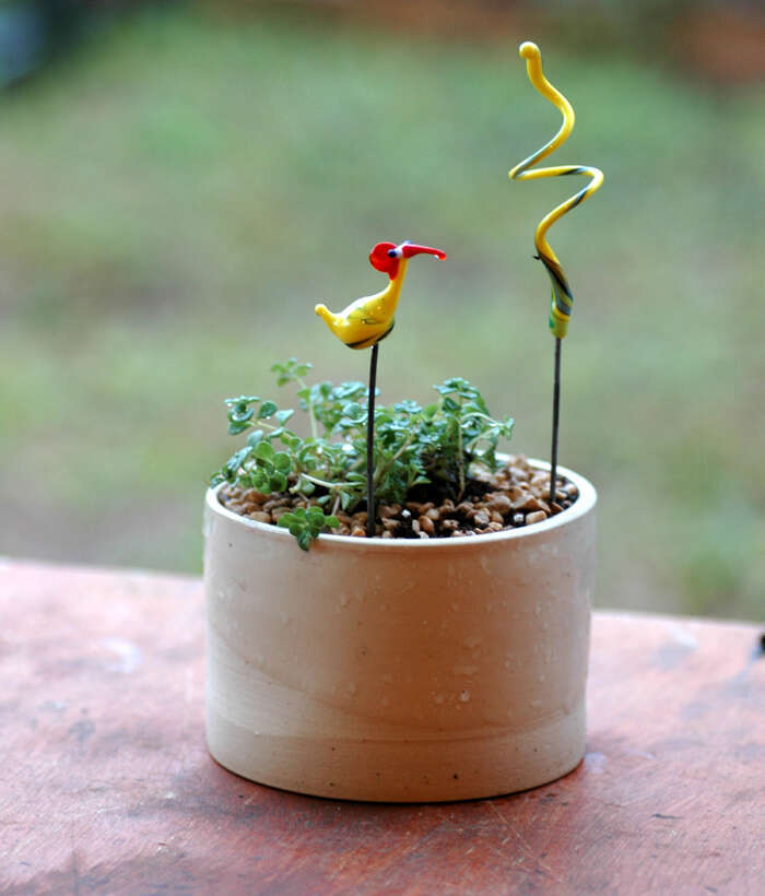 טו בשבט בסטודיו מנדרינה. | רינה אפלבוים