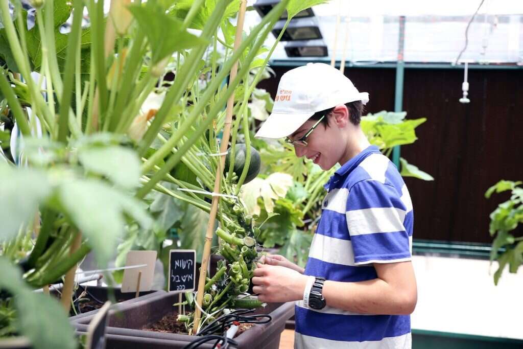 ירוק במוזיאון טו בשבט במוזיאון המדע. | יעל אילן