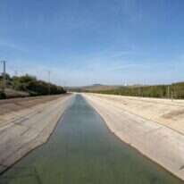 המוביל הארצי. | גיל אליהו, ג'יני