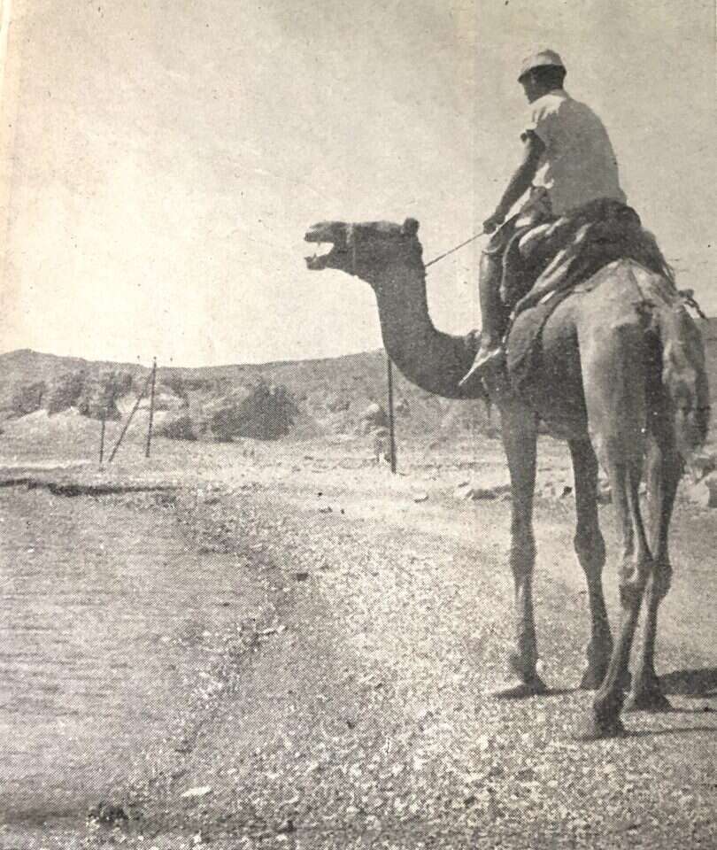 באדיבות אוריאל ספריאל