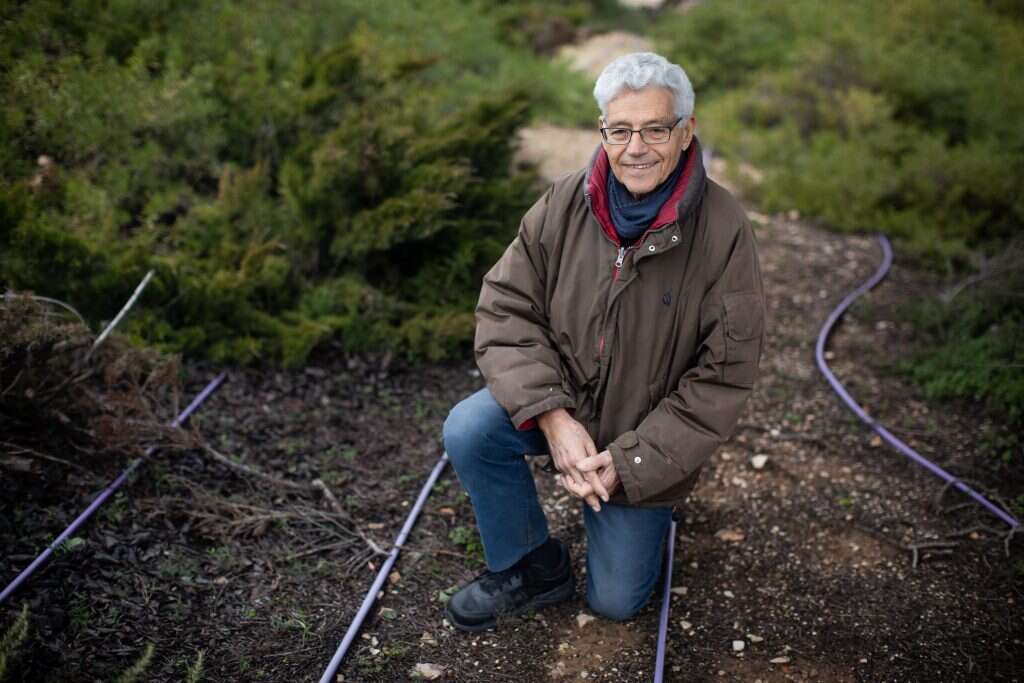 "היינו צברים שמרדו באופן מוחלט בהורים שלהם, והמרד הזה מעורר געגוע". פרופ' אוריאל ספריאל. | הדס פרוש, פלאש 90