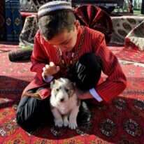 ילד וכלב. אילוסטרציה. | AFP