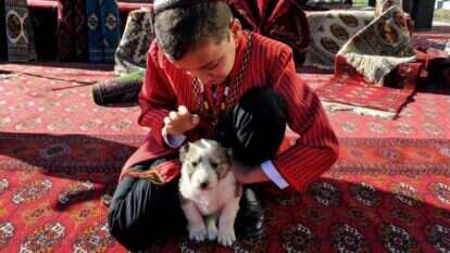 ילד וכלב. אילוסטרציה. | AFP
