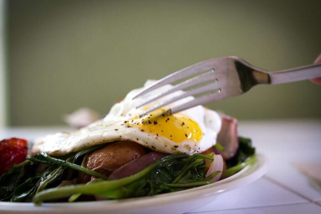 משק עפאים, בנימינה. | אסף קרלה