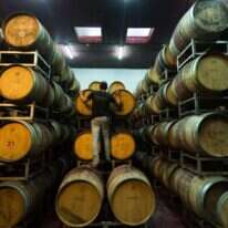 דודי ועקנין