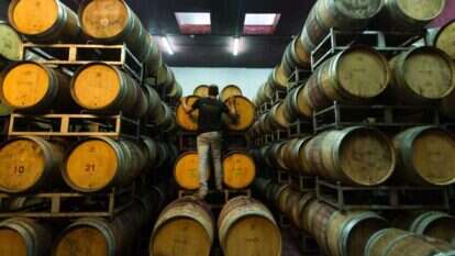 דודי ועקנין