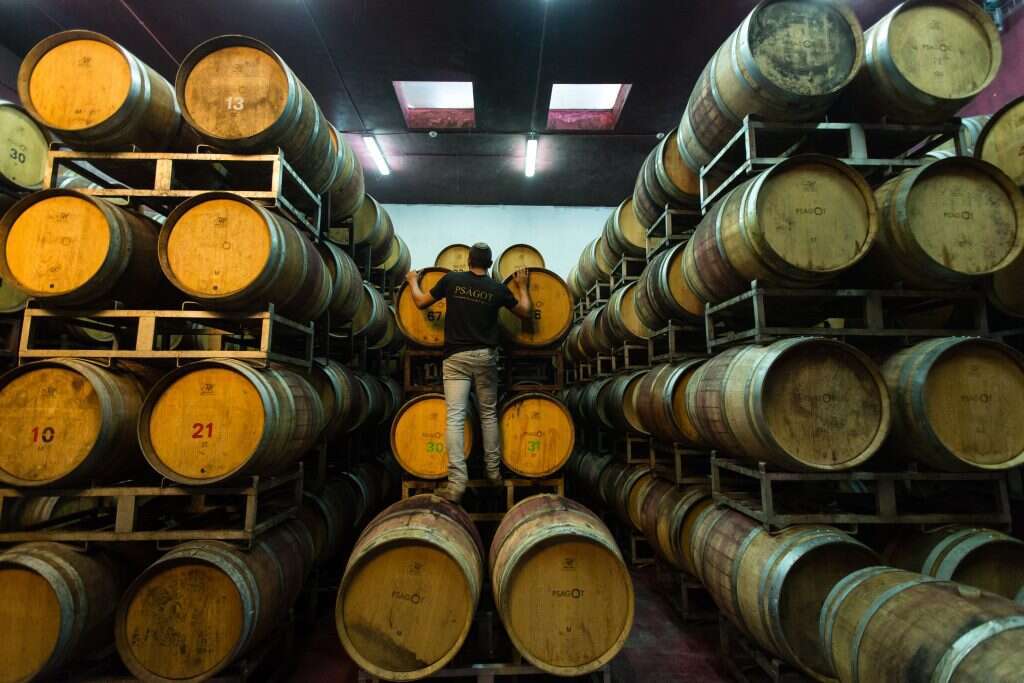 דודי ועקנין