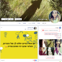 הפרופילים המזויפים שהפעיל חמאס. | דו"צ