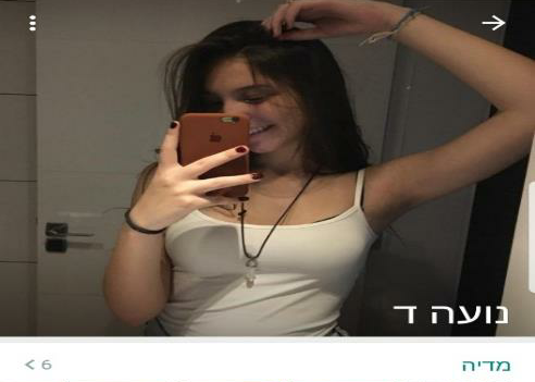 הפרופילים המזויפים שהפעיל חמאס. | דו"צ הפרופילים המזויפים שהפעיל חמאס. | דו"צ