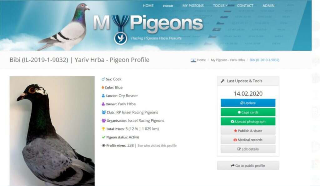 הפרופיל של היון הזוכה. | מסך הפרופיל של היון הזוכה. | מסך