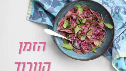 אפרת ליכטנשטט