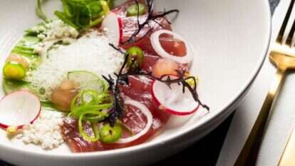 נמרוד סונדרס