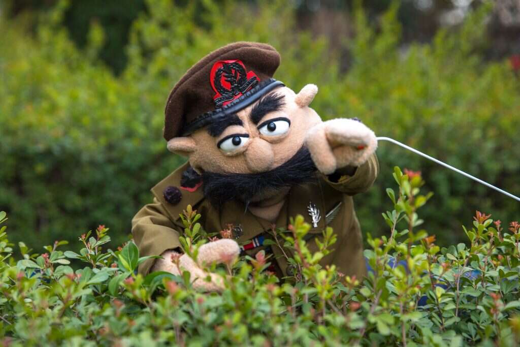 אוליבייה פיטוסי, פלאש 90 אוליבייה פיטוסי, פלאש 90