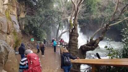 מטיילים בבחירות, שמורת הבניאס ברמת הגולן. | TPS מטיילים בבחירות, שמורת הבניאס ברמת הגולן. | TPS