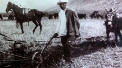 יוסף טרומפלדור. | יוסי זמיר, פלאש 90