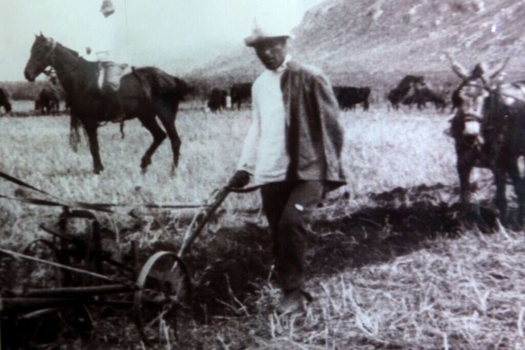 יוסף טרומפלדור. | יוסי זמיר, פלאש 90